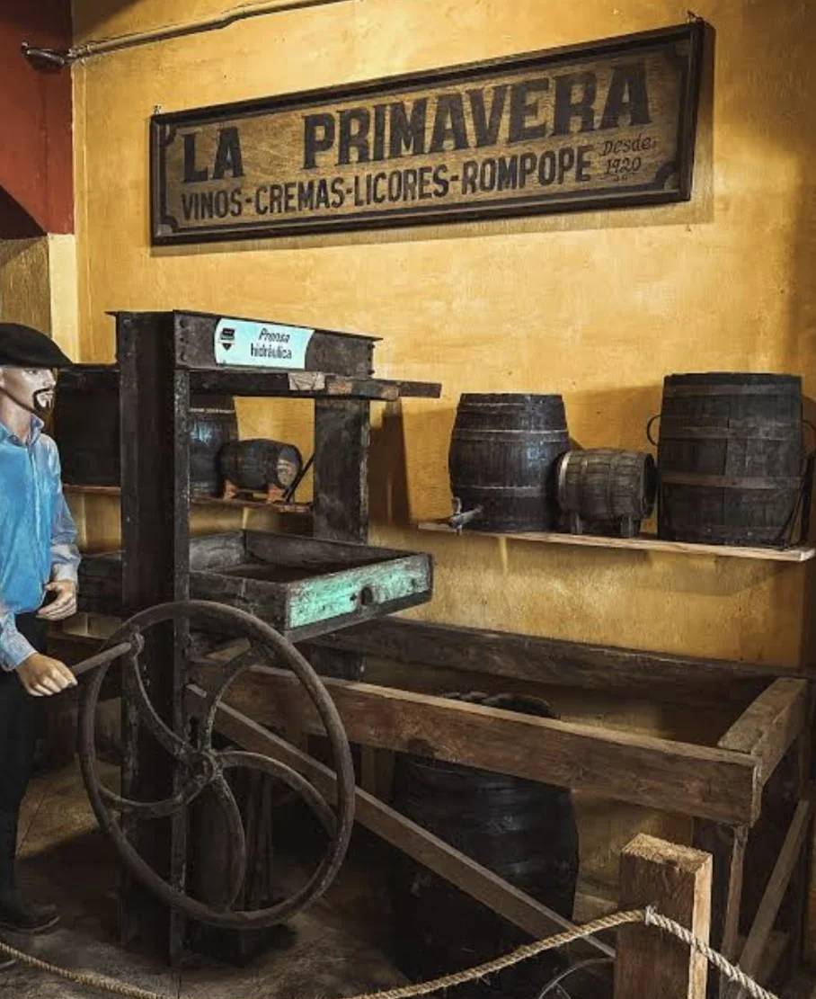 Museo del Vino